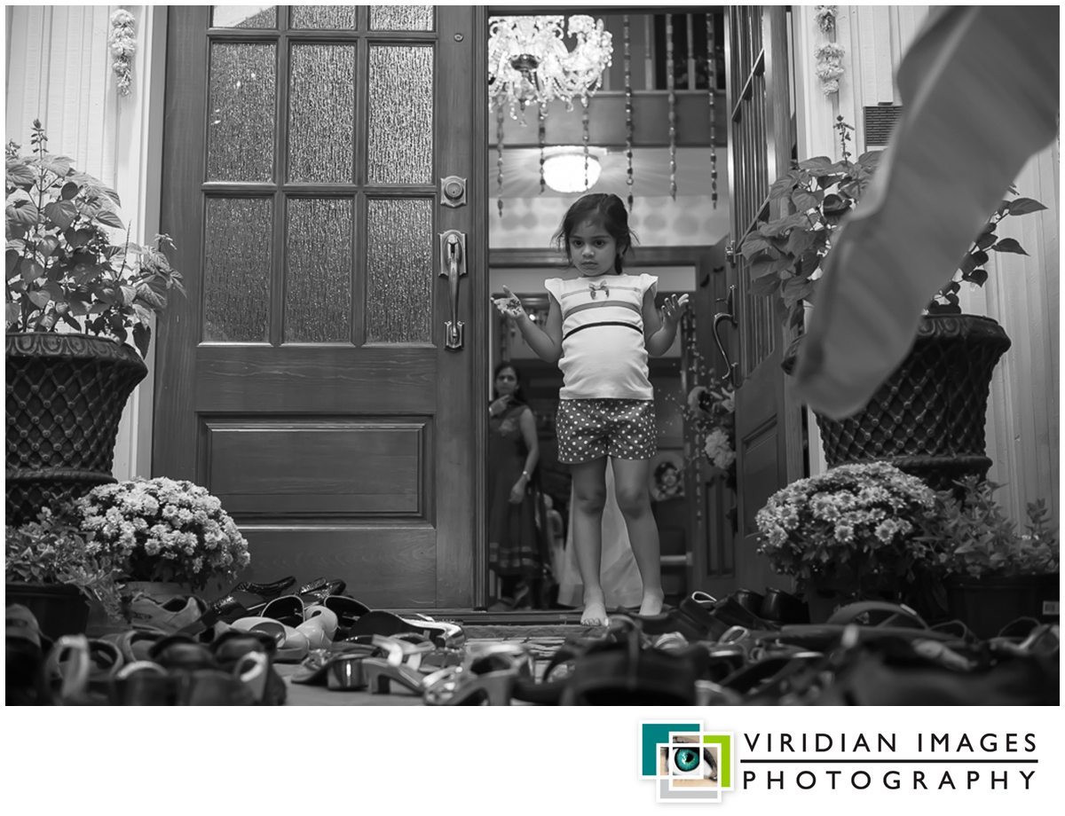 Viridian_Images_Photography_Indian_Wedding_Hindu_Mehndi_6_photo