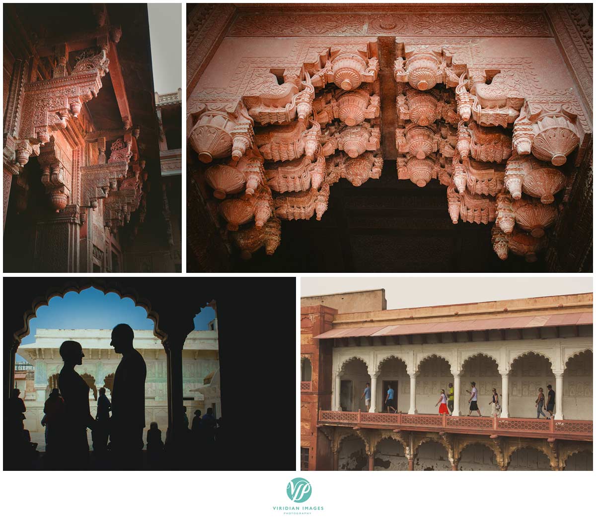 India_Taj_Mahal_Agra_Fort_Viridian_Images_photo_29