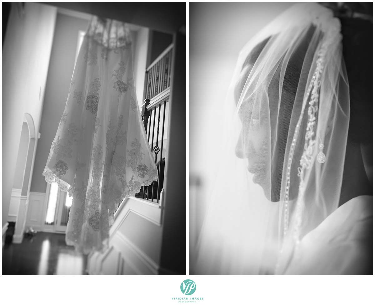 Atlanta-wedding-photographers-dress-veil-photo-2