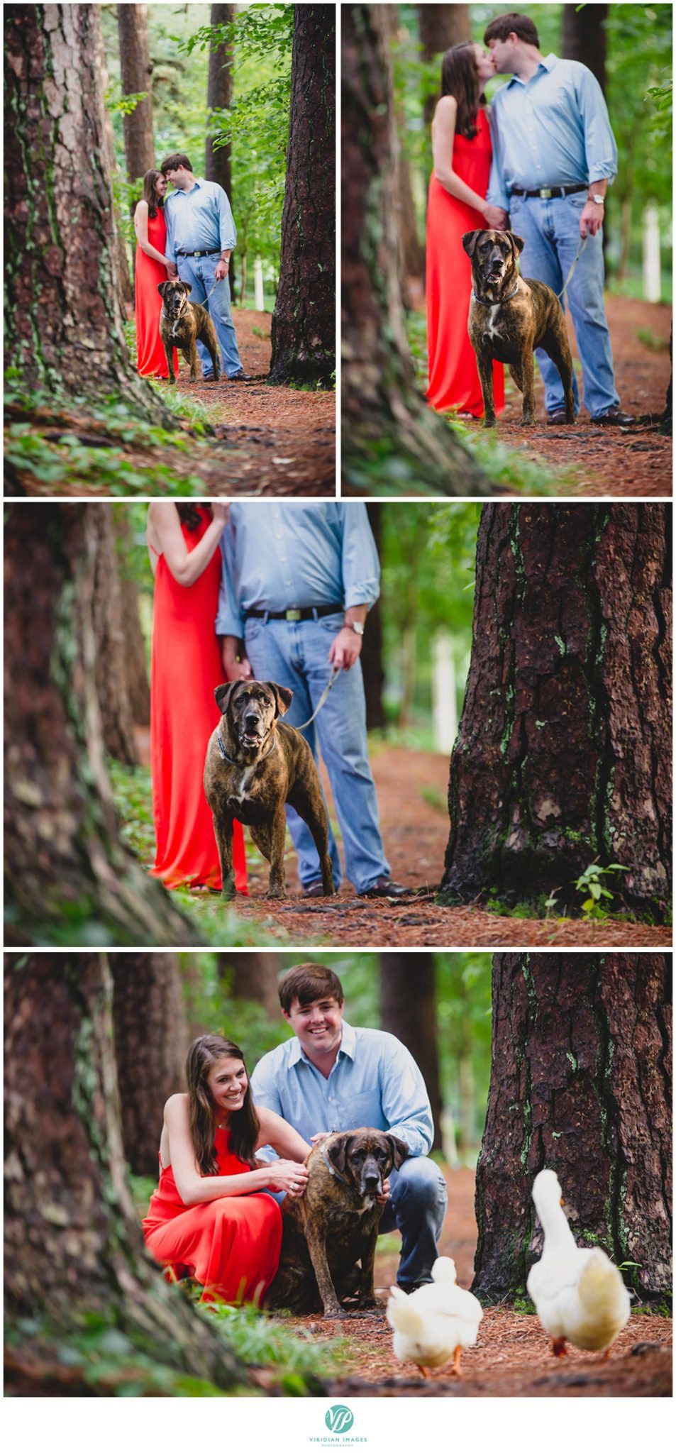 Atlanta-duck-poind-engagement-session-viridian-images-photography-photo-18