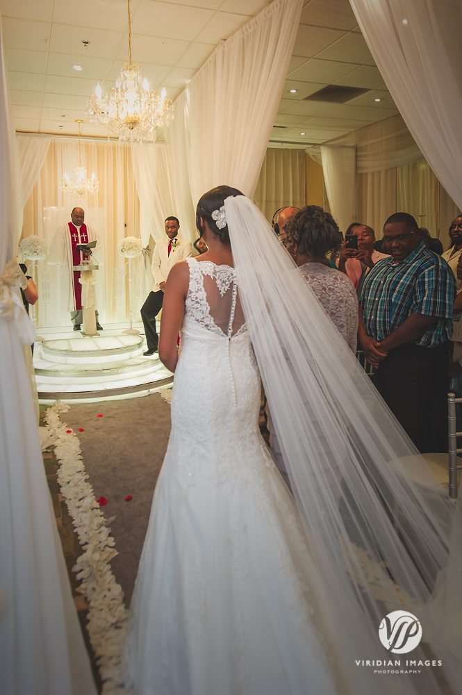 Duluth-wedding-sneak-peek-viridian-images-photography-9