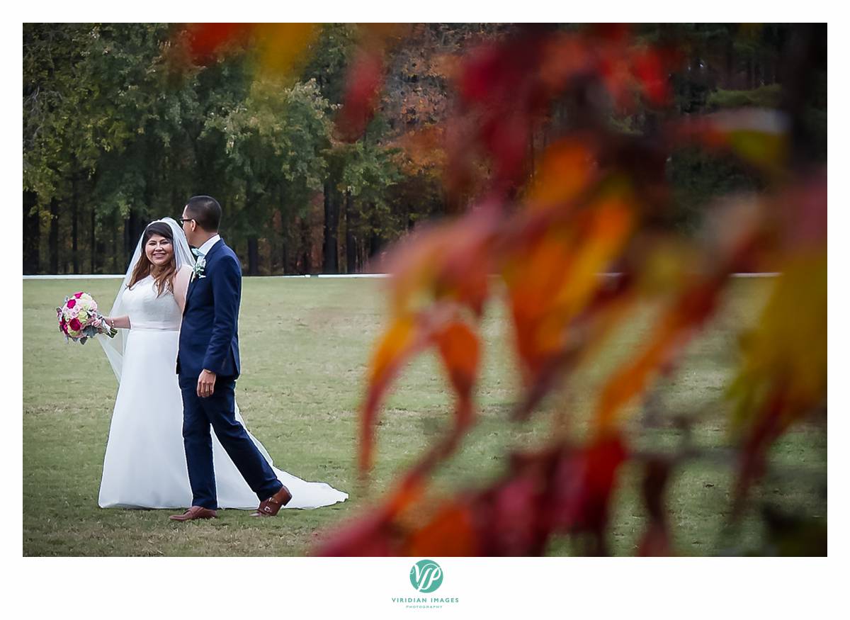 Viridian_Images_Photography_2015 Weddings 9_photo