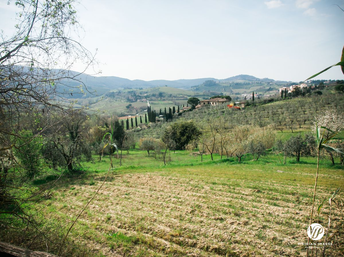 Italy-Tuscany-San-Gimignano-Viridian-Images-Photography-photo 10