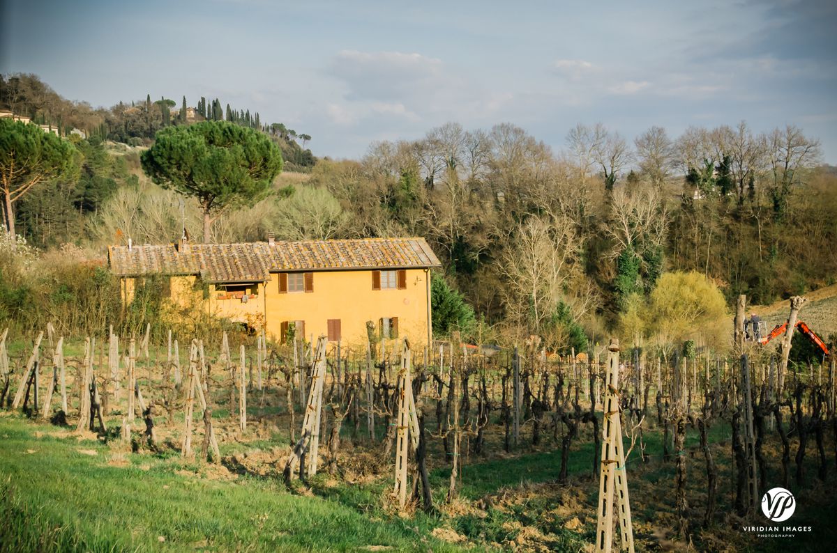 Italy-Tuscany-San-Gimignano-Viridian-Images-Photography-photo 14