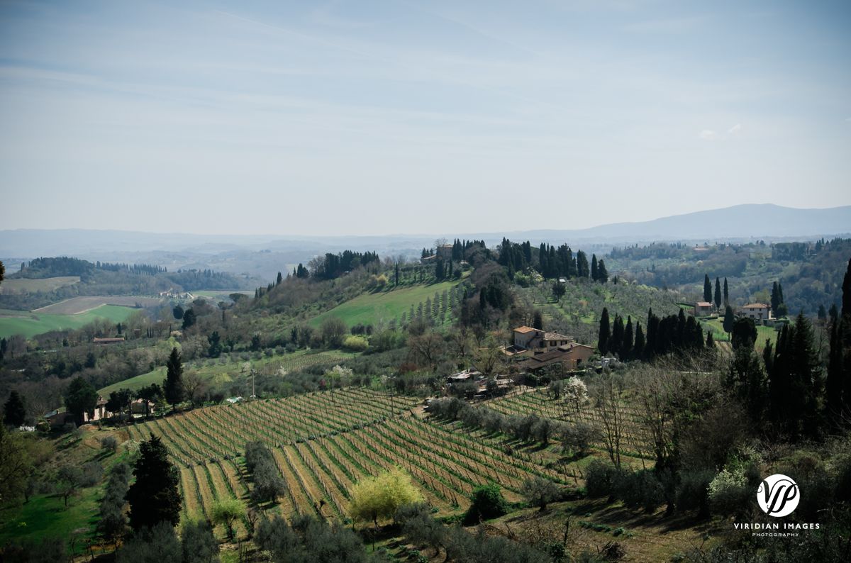 Italy-Tuscany-San-Gimignano-Viridian-Images-Photography-photo 2