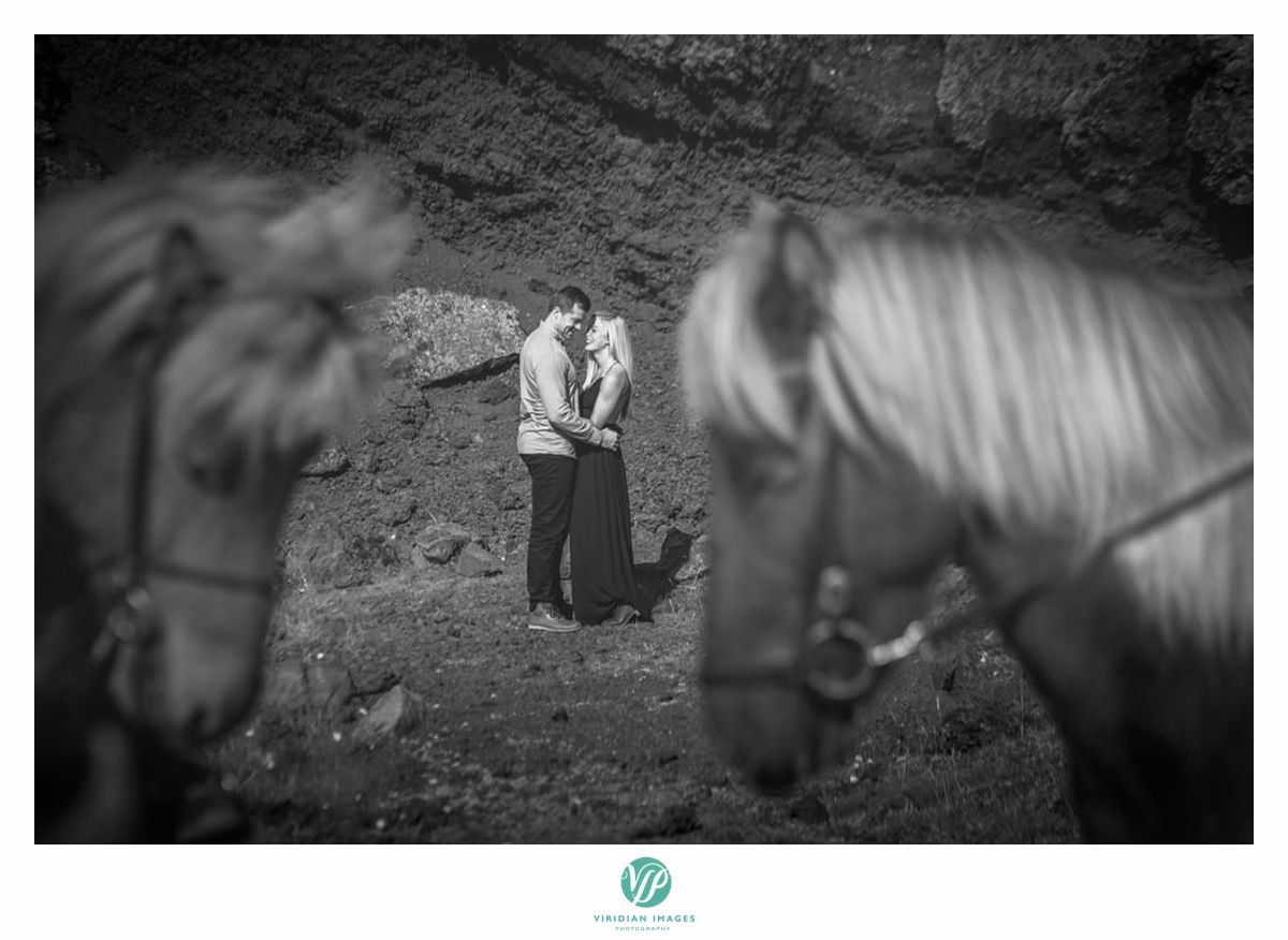 iceland-engagement-destiation-horses-viridian-images-photography-9