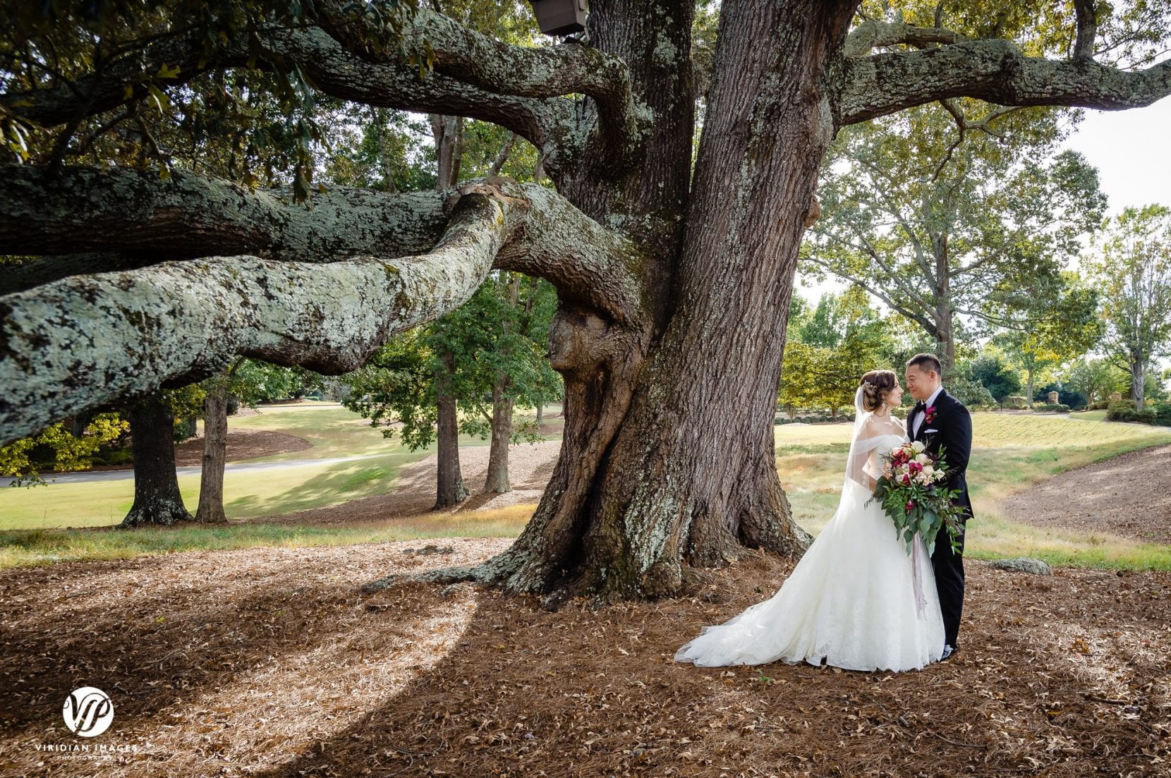 bridal portrait under oak tree