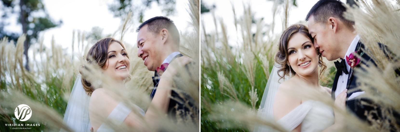 wedding portraits tall grass