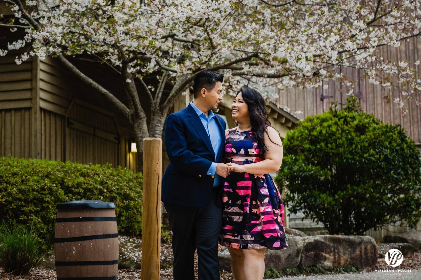 couple walking under cherry tree holding hands engagement photo stone mountain park