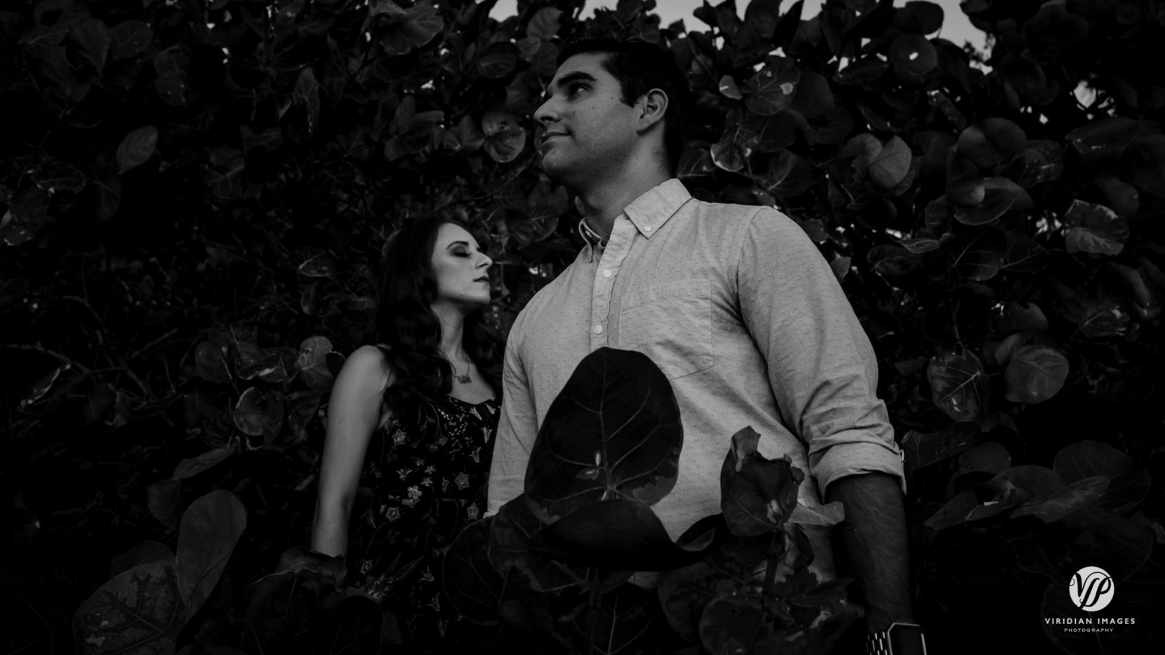 creative, artistic capture of couple inside leaves of south florida bush