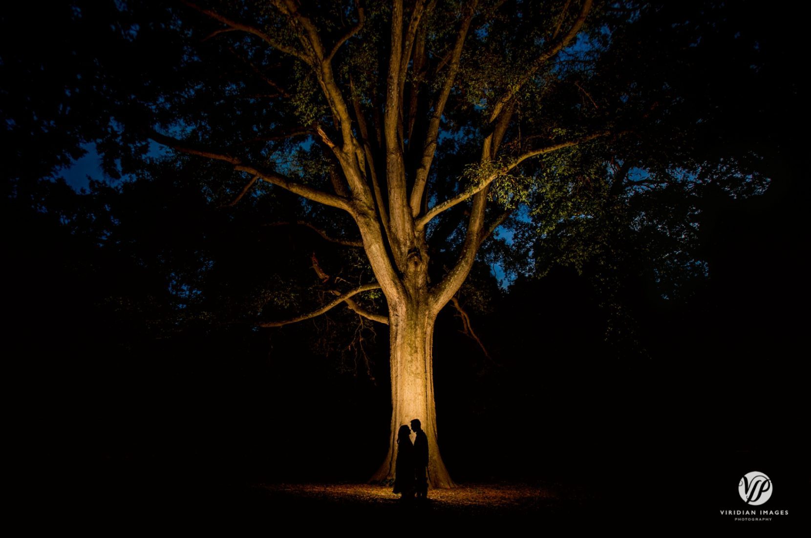 Night-time photo silhouette of engaged couple against large tree trunk