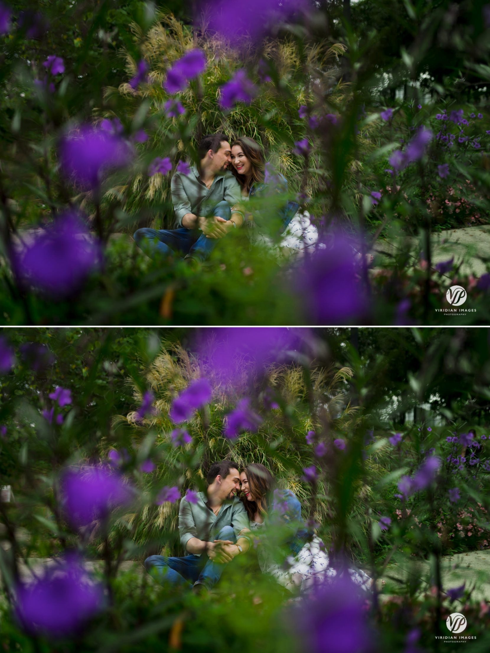 Engaged couple sitting shot through purple flowers at Piedmont Park