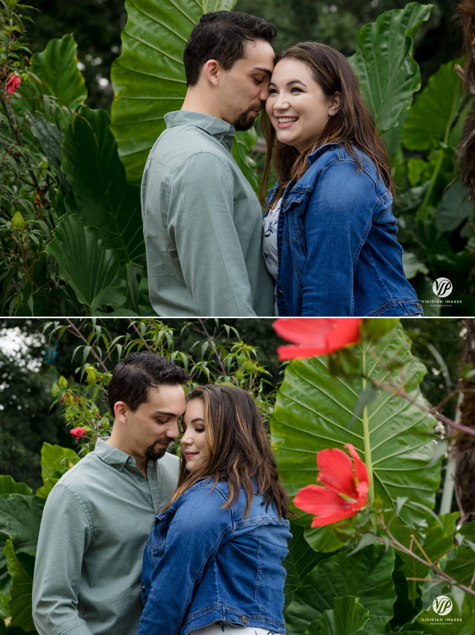 Engaged couple portrait in front of large leaf plants