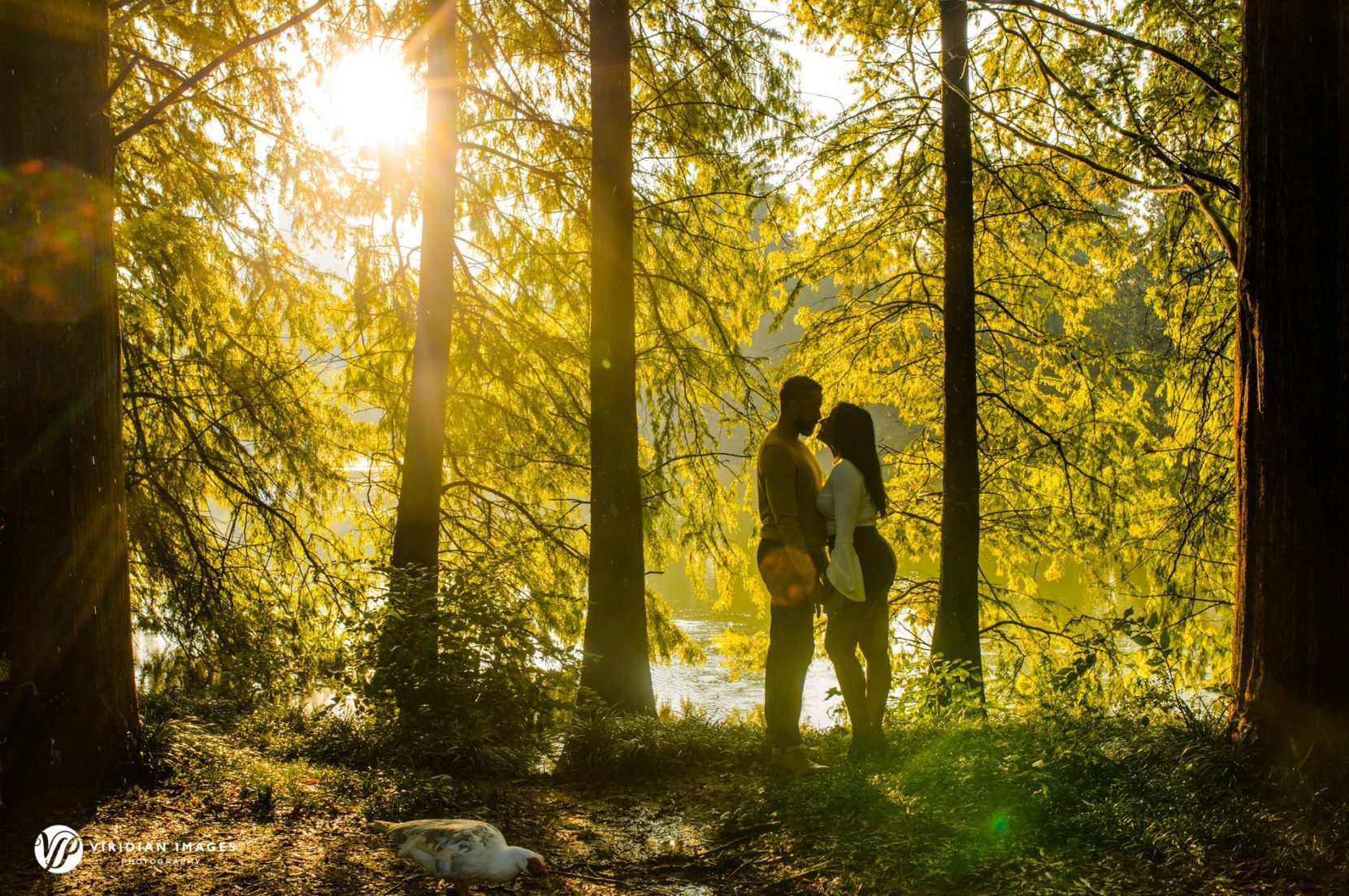 romantic engagement portraits by the lake