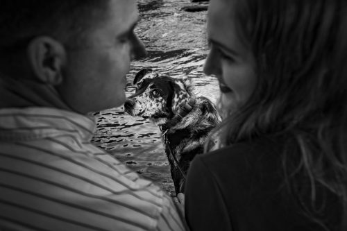 Couple with border collie dog during Sweetwater Creek engagement photos