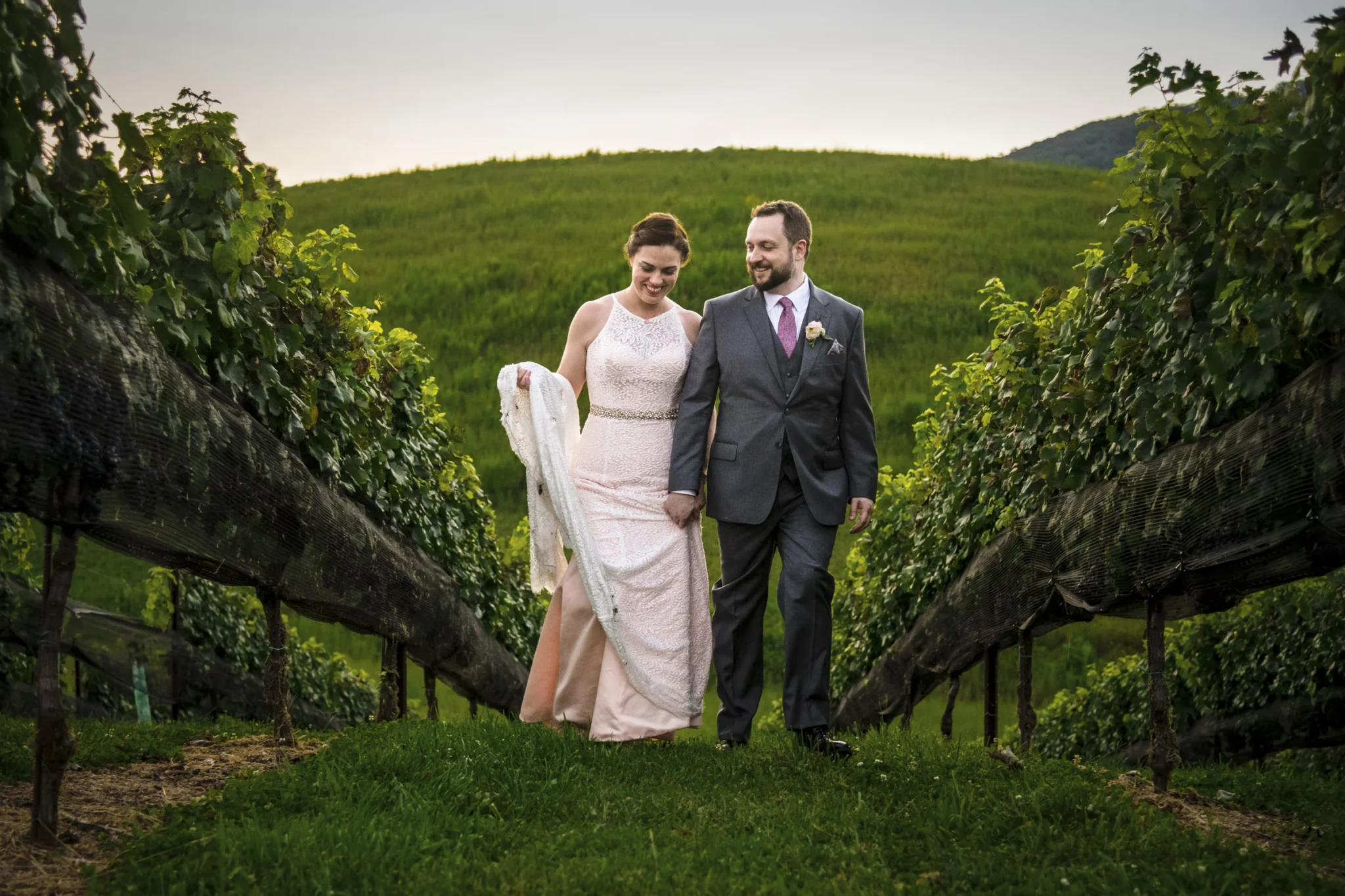 bride and groom walking between grape vines at golden hour
